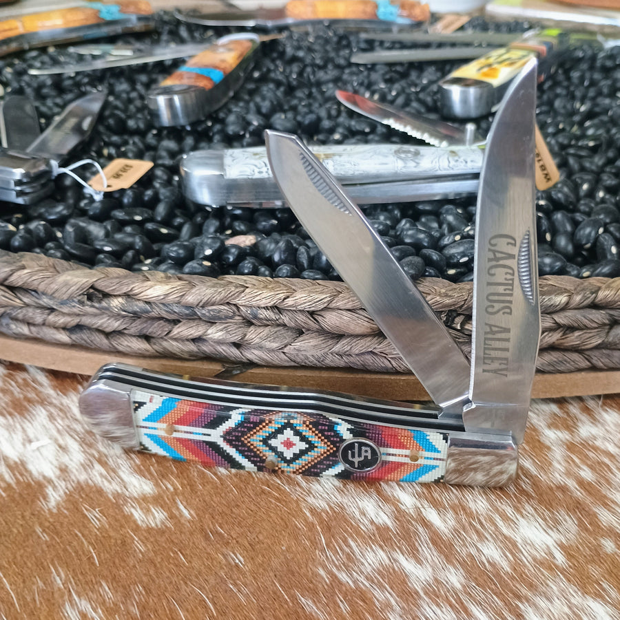 CA11-05 THE ARIZONAN CACTUS ALLEY TRAPPER