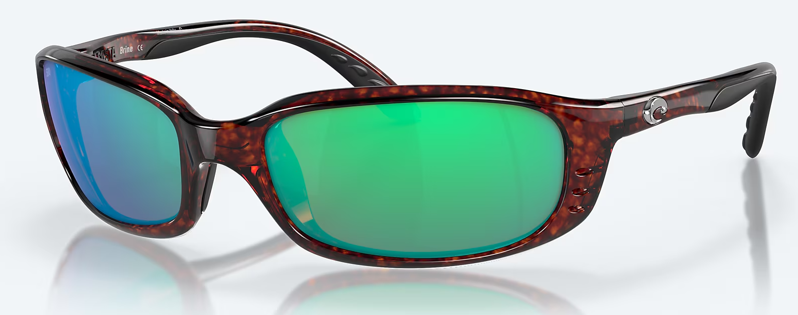 06S9017- BRINE TORTOISE