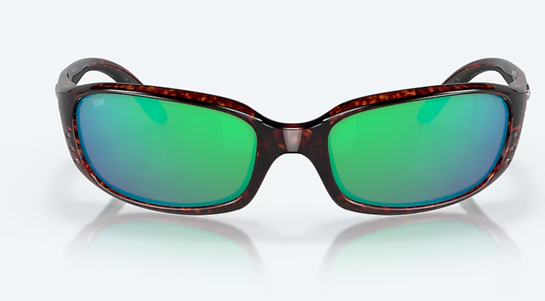 06S9017- BRINE TORTOISE