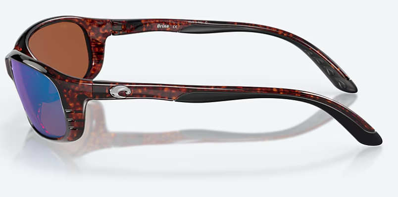 06S9017- BRINE TORTOISE