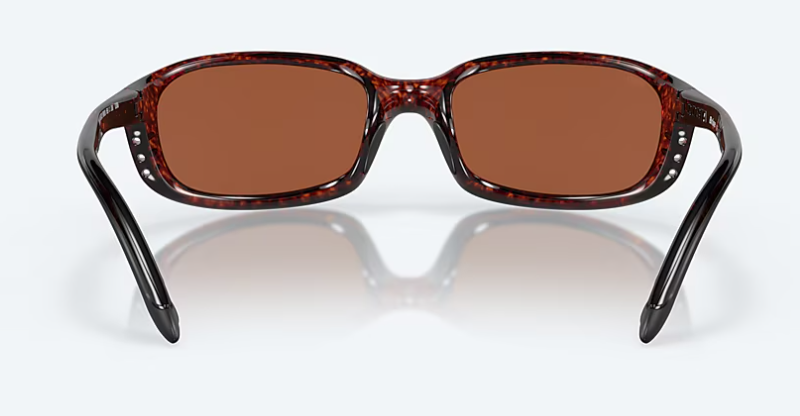 06S9017- BRINE TORTOISE