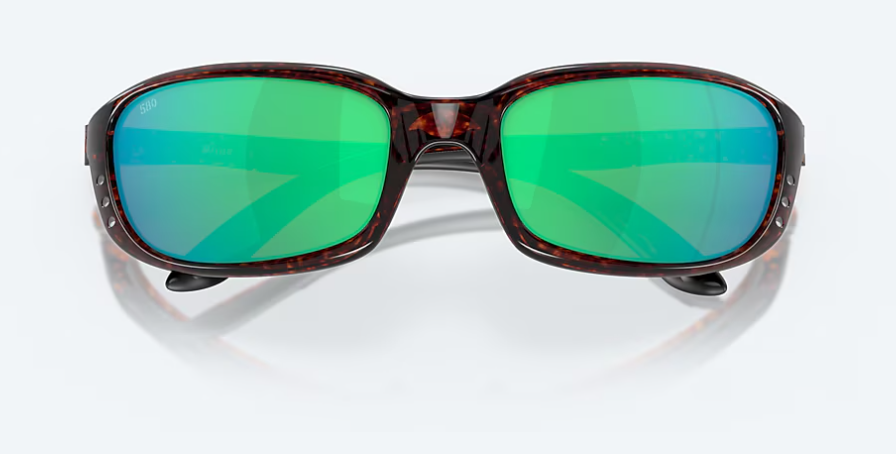 06S9017- BRINE TORTOISE