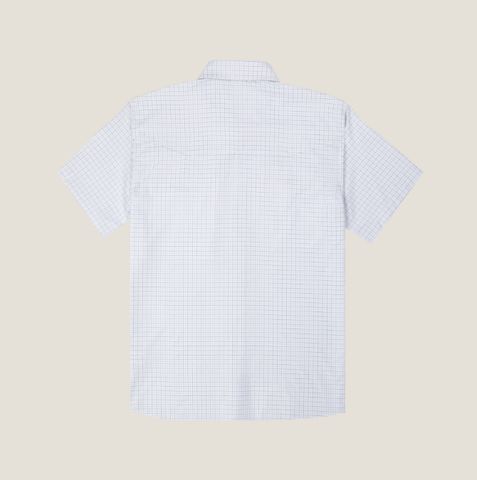 PONCHO - THE AUCTIONEER