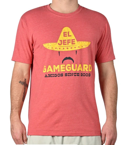 GameGuard Lava Rock Graphic